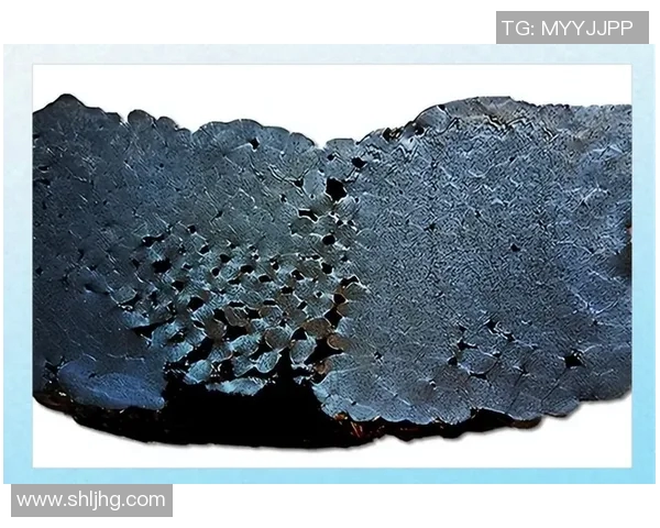 橡胶制品的创新发展与应用前景探索：从工业到日常生活的全面分析