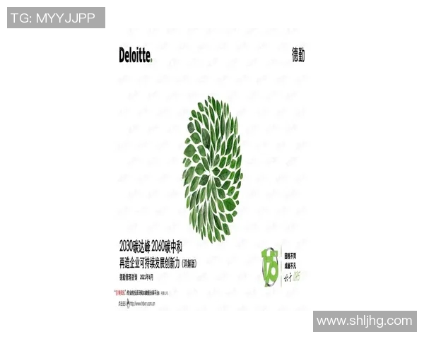 重磅专题：探索液化天然气在能源转型中的创新与应用前景